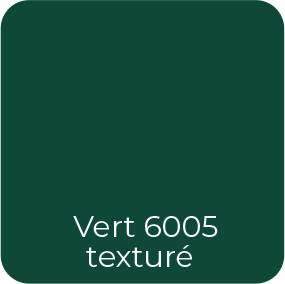 Nuancier SIB vert 6005 texturé